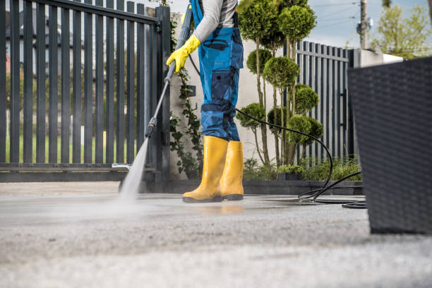 Best Fence Cleaning  in Rush City, MN